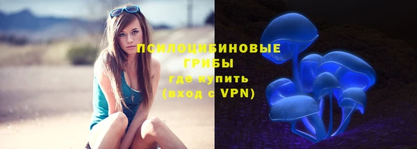молекула духа Волосово