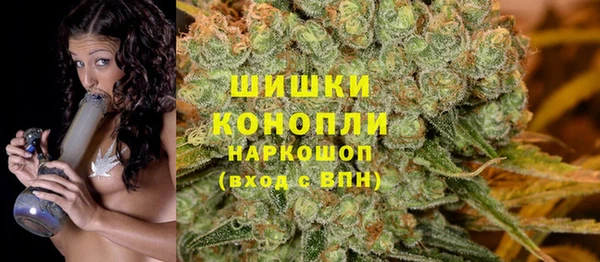 молекула духа Волосово