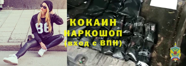 индика Усинск