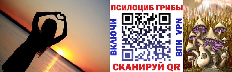 Псилоцибиновые грибы GOLDEN TEACHER  Купить где  Почеп 